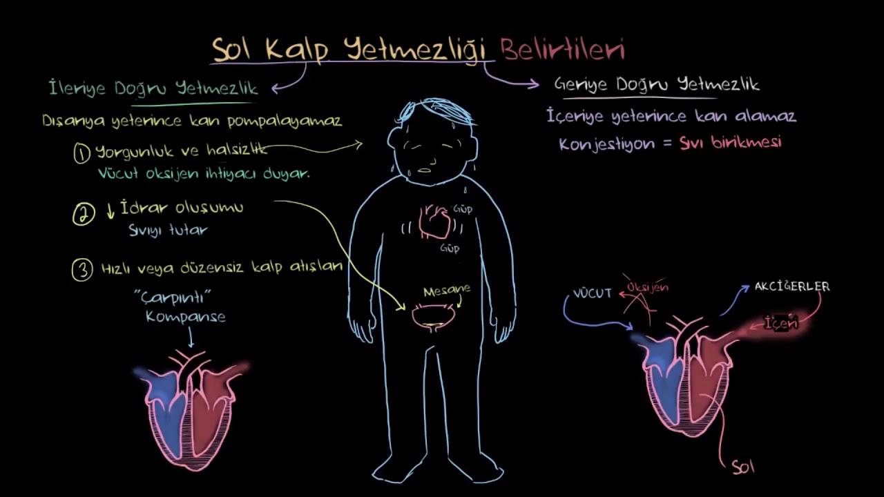 Sol Kalp Yetmezliği Belirtileri (Fen Bilimleri) (Sağlık ve Tıp)