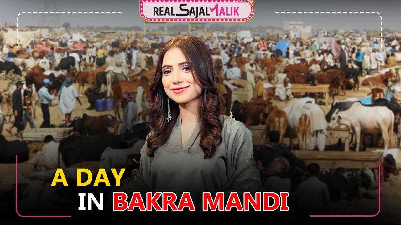 A day in Bakra Mandi | Mandi Ka Khoobsurat Janwar 😍 | MANDI VLOG 🐐 | Real Sajal Malik | vlog
