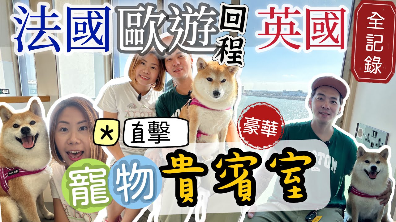 法國旅行回程坐船到英國記錄｜享受船上超正寵物貴賓室要多少錢？Travel from France to the UK with doggie  #法國旅行 #英國 #旅行vlog