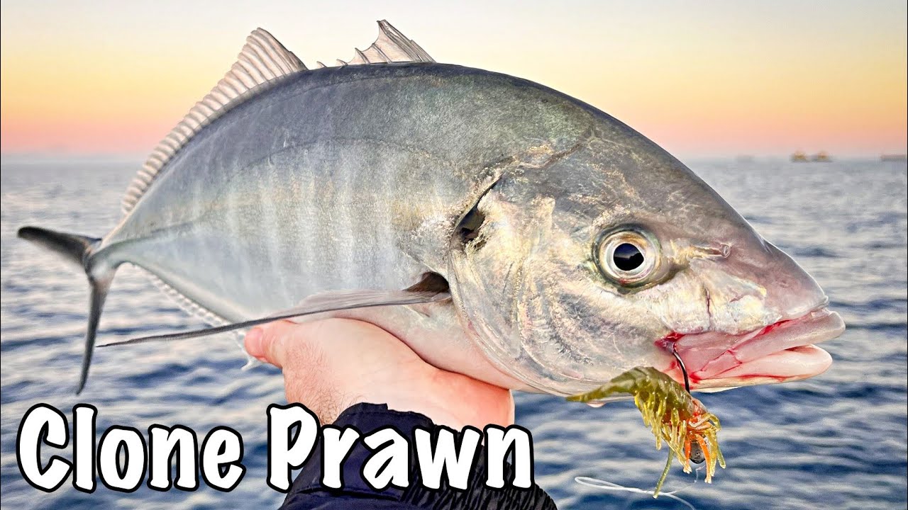What fish doesn't eat prawns? Pro Lure Clone Prawn