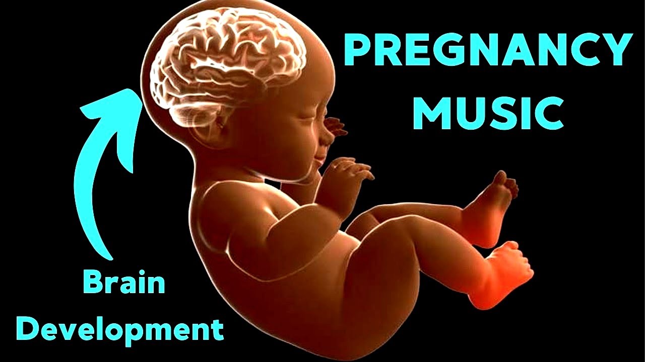Music for Baby Inside The Womb, Music for Brain Development, Music for Pregnancy And Unborn Baby 109