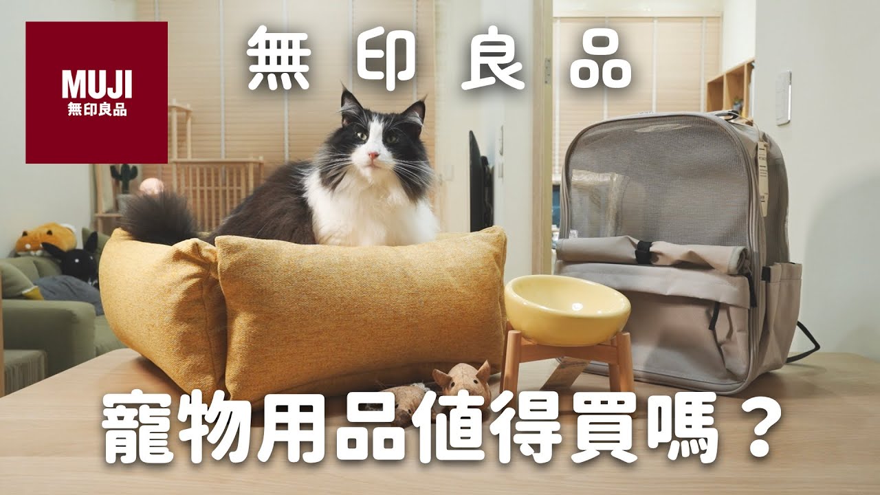 無印良品寵物商品的真實評測，這樣商品最值得買！和那堤開箱：無印貓床、外出包、貓碗、貓玩具 EP140