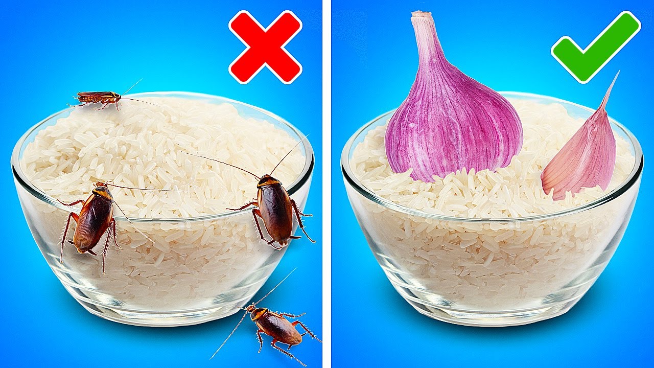 LE TOP DES ASTUCES POUR CONSERVER LES ALIMENTS PLUS LONGTEMPS | | Astuces De Cuisine Et Recettes