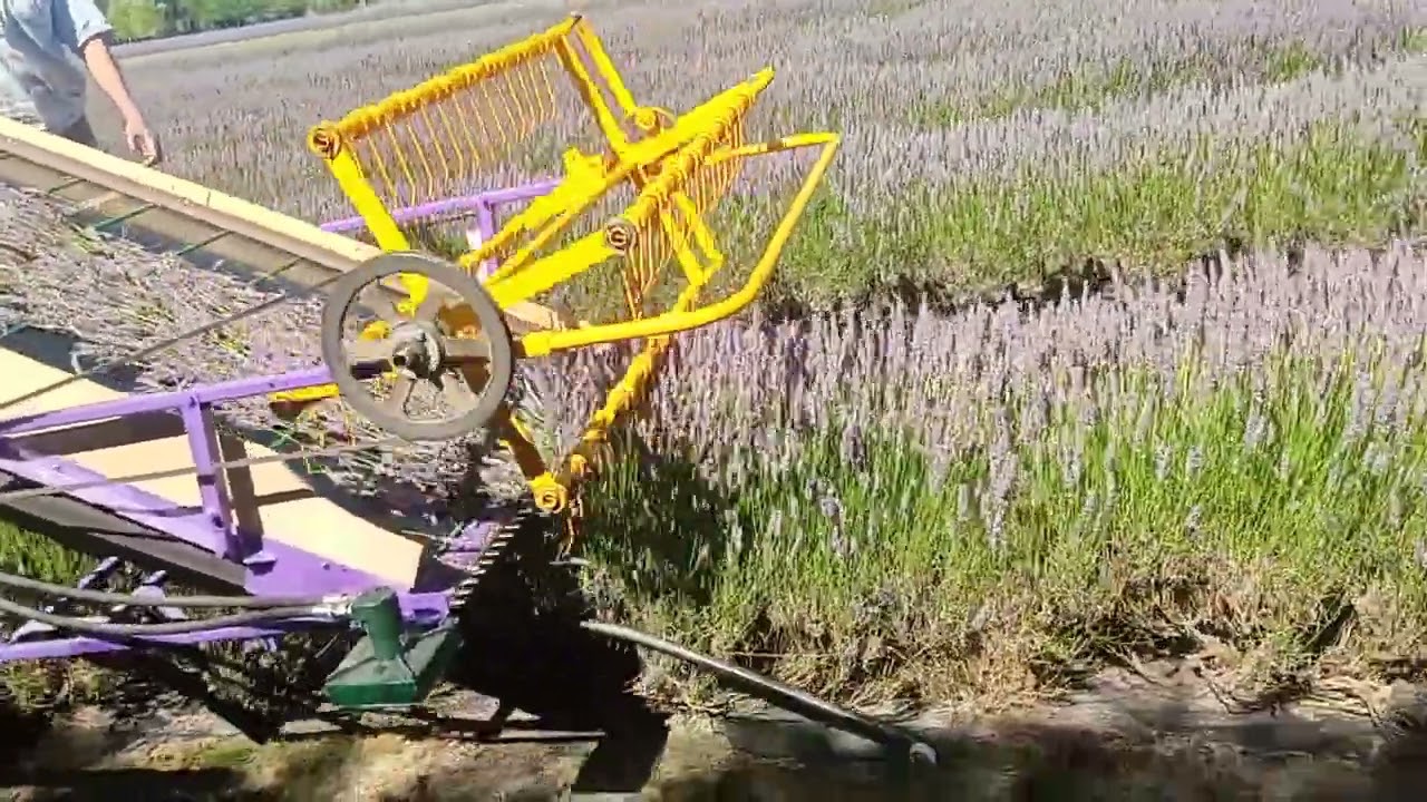 Our Newest Self Propelled Lavender Harvester
