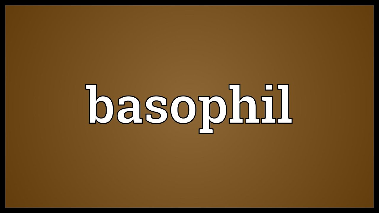 Basophil Meaning