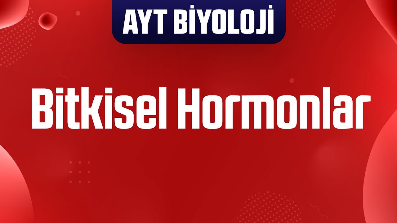 54) Bitkisel Hormonlar (AYT Biyoloji Kampı)