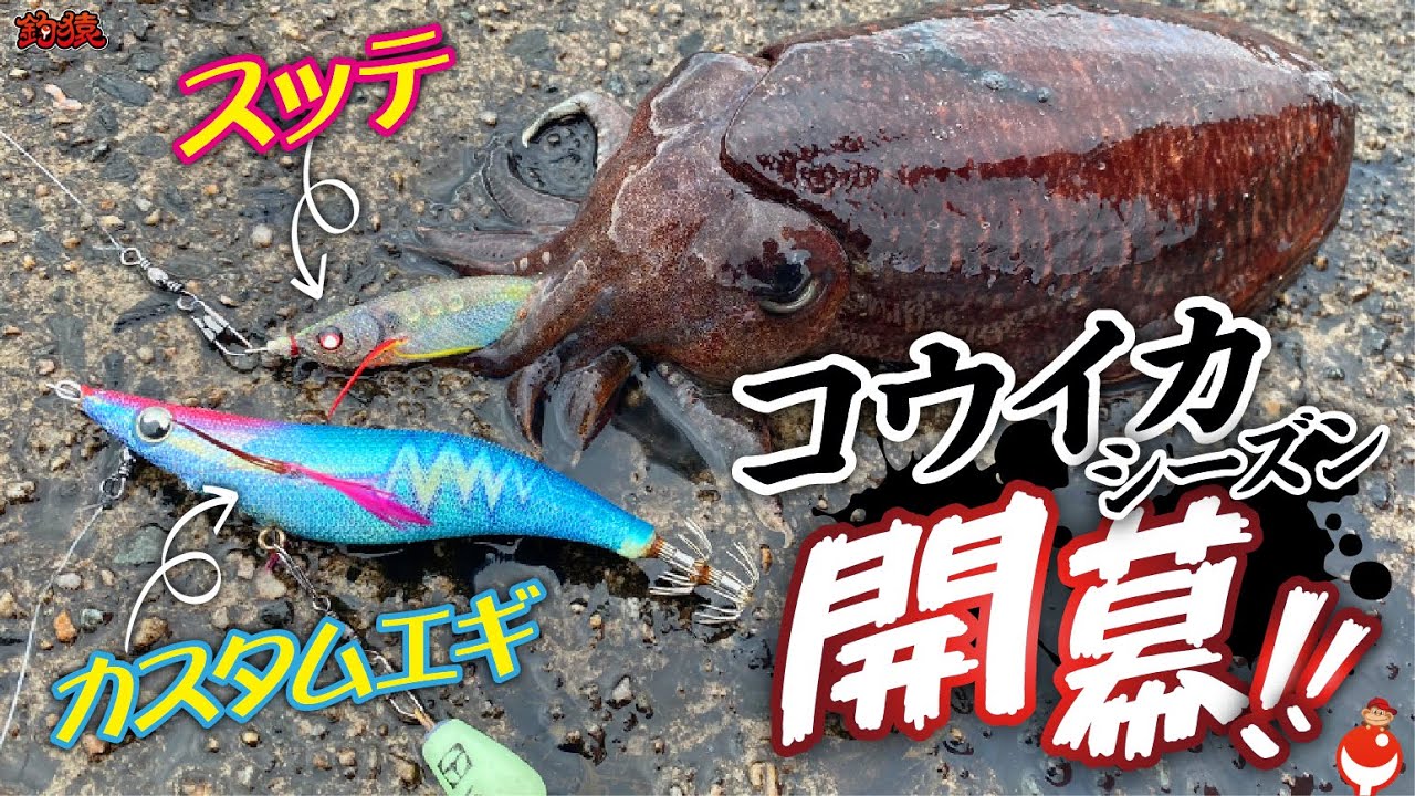 コウイカエギング開幕！あの爆釣カスタムエギをさらにカスタムした結果 