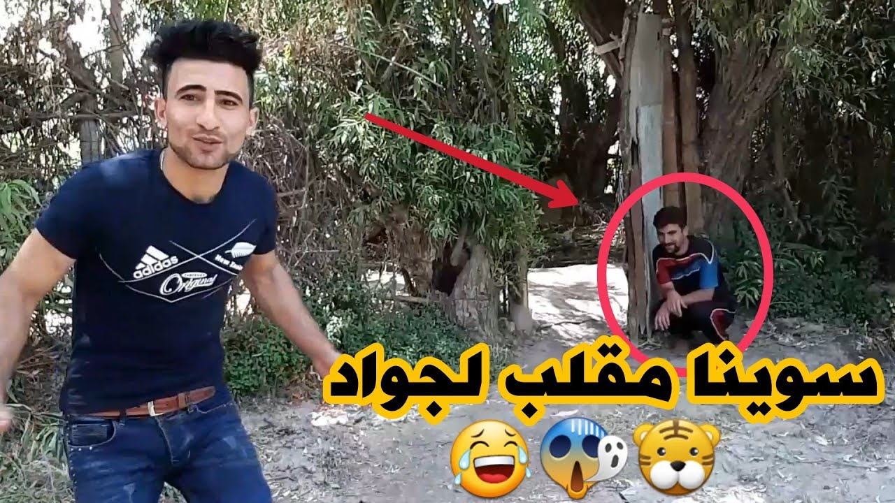 فلوك سفرتنا لأذربيجان#شفنا ذئب🐯😱