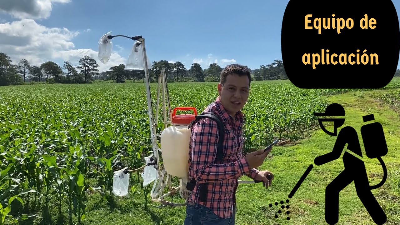 Equipo manual de aspersión para tu cultivo de maíz. Alternativa para otro cultivo en el campo