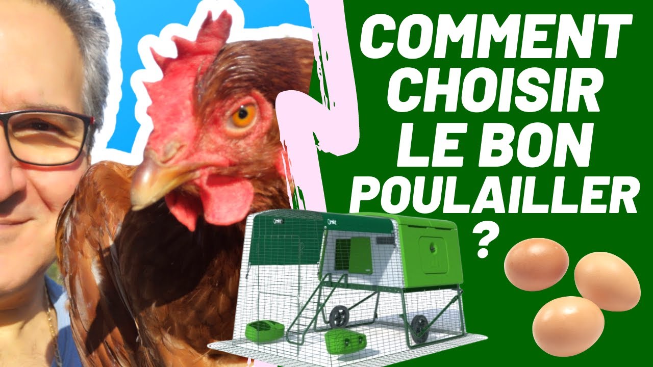 J'ai testé le poulailler à roulettes de chez Omlet ! (et ça a pas mal d'avantages 👍)