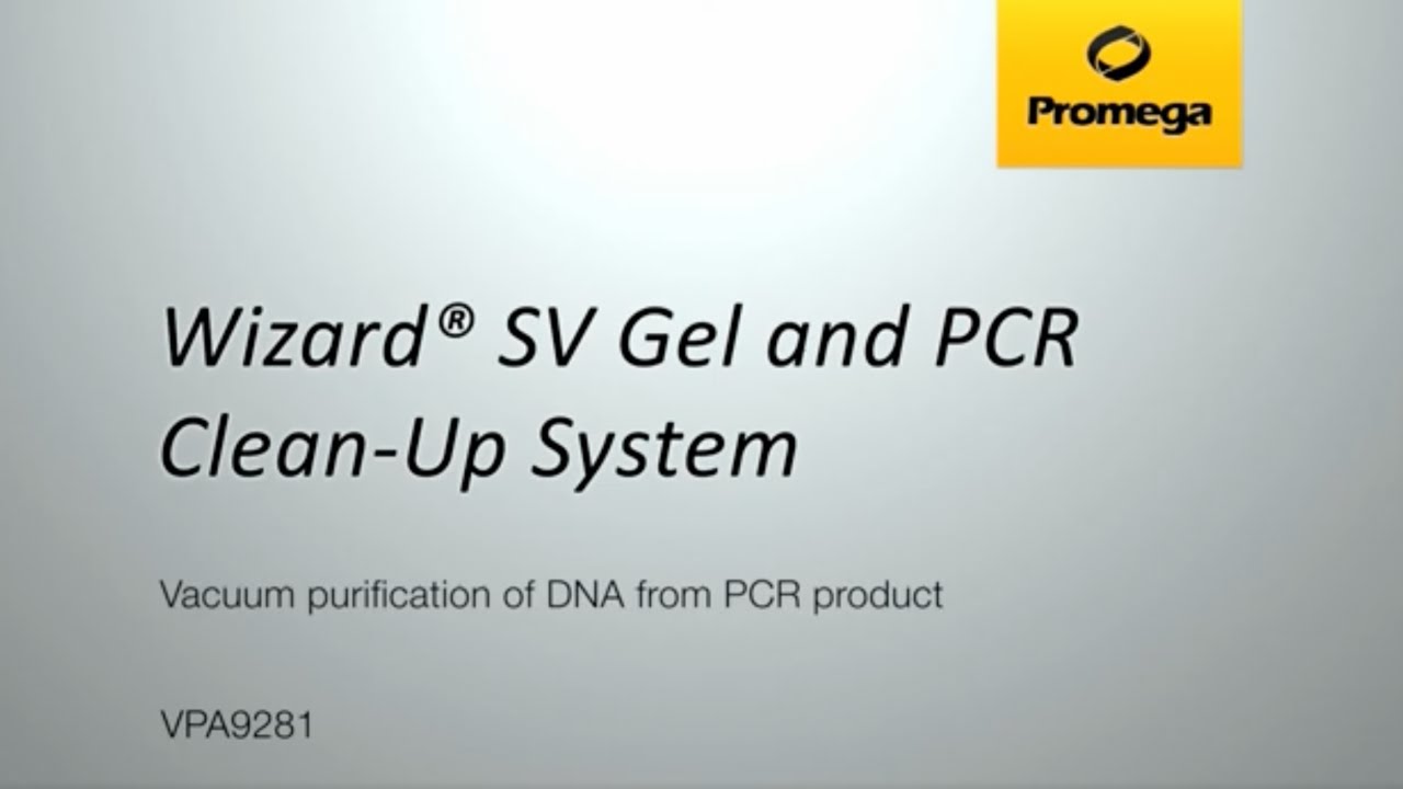 Wizard&reg; SV Gel and PCR Cleanup System - vacuum purification of PCR product