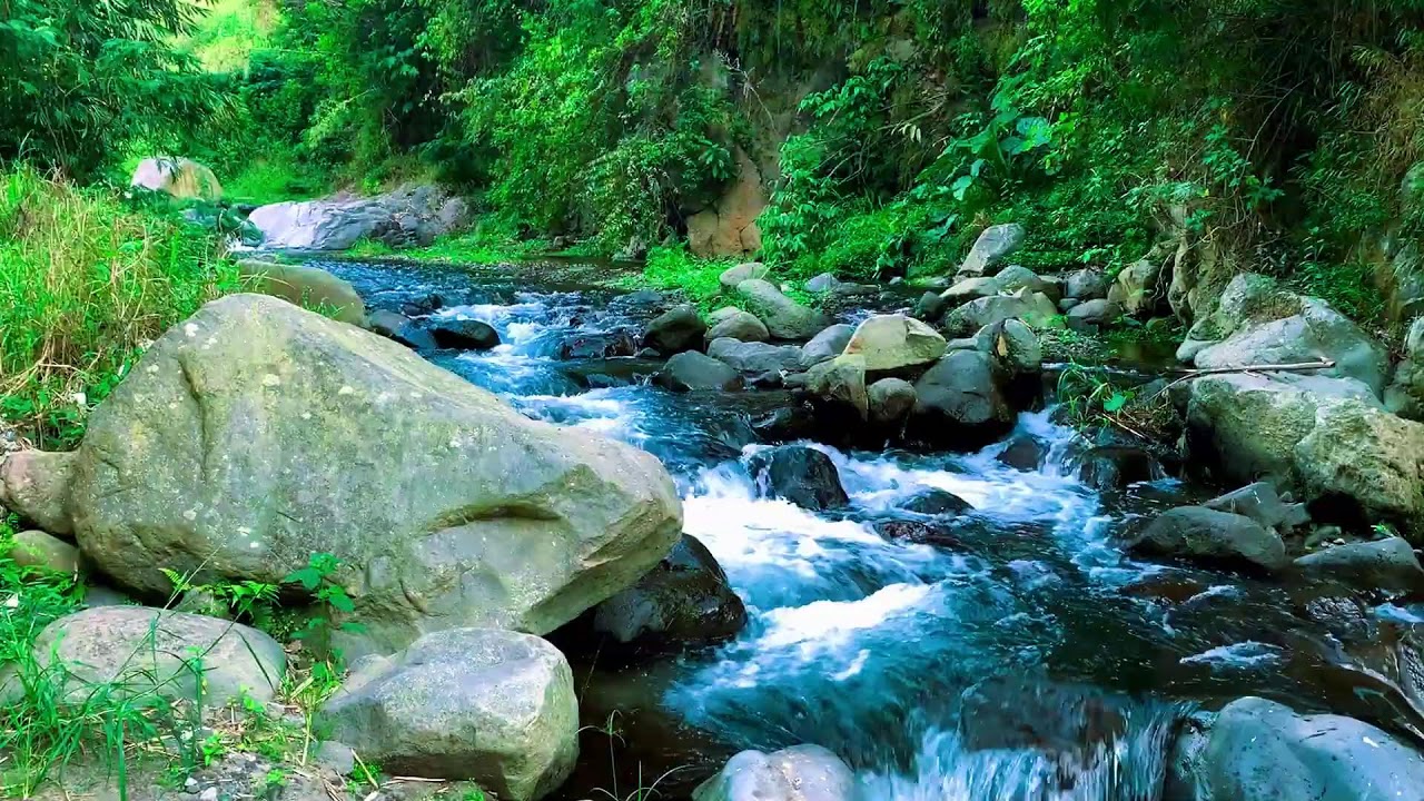 Green Stream Flow Vibes for All Night Sleep, Therapy