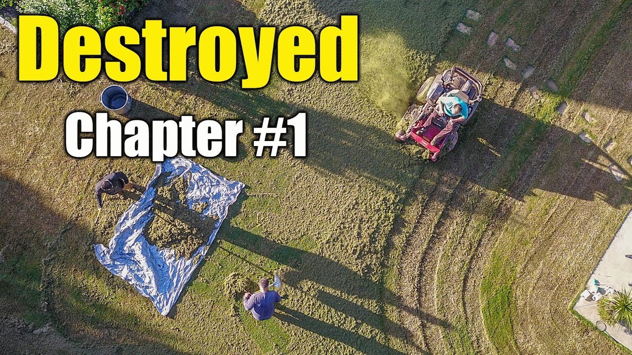Bermuda Lawn Renovation - Chapter 1 The Destruction