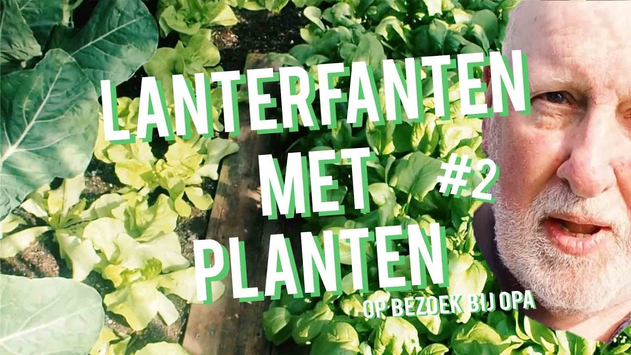 #2 LANTERFANTEN MET PLANTEN - op bezoek bij opa, de moestuinbaas 🌿✨