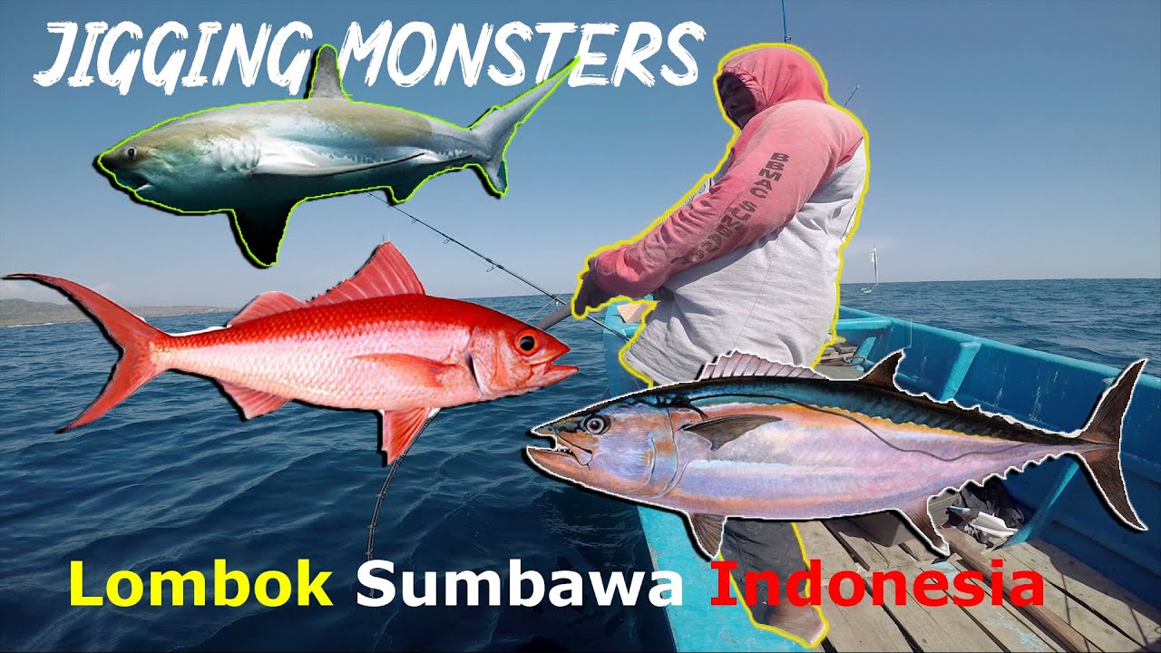Jigging for MONSTERS in Lombok Sumbawa Indonesia