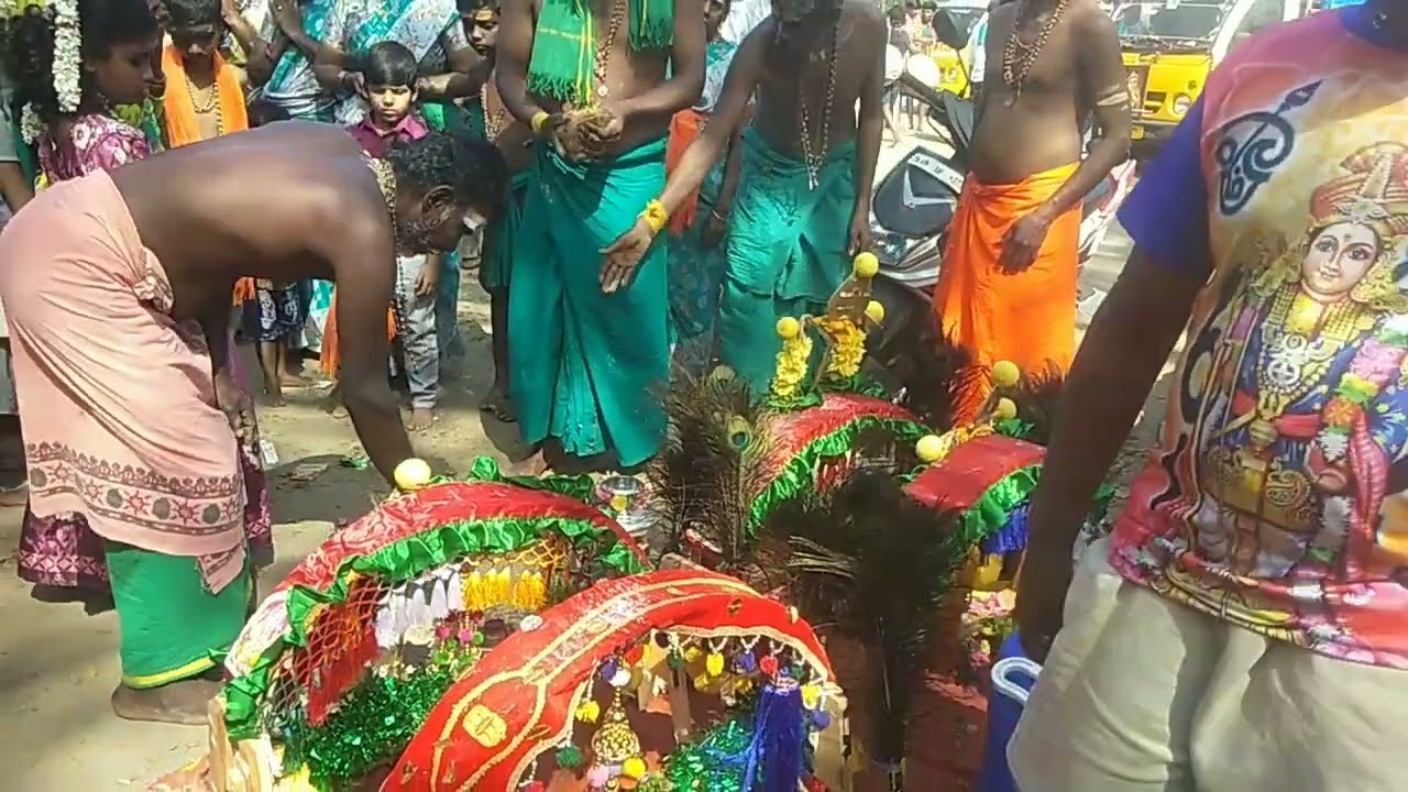 பழனி முருகன் / பல வண்ண/ காவடிகள்
