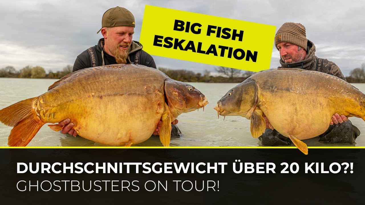 Durchschnittsgewicht &uuml;ber 20 Kilo?!  - Ghostbusters Teil 2 | Karpfenangeln | Frankreich | Big Fish |