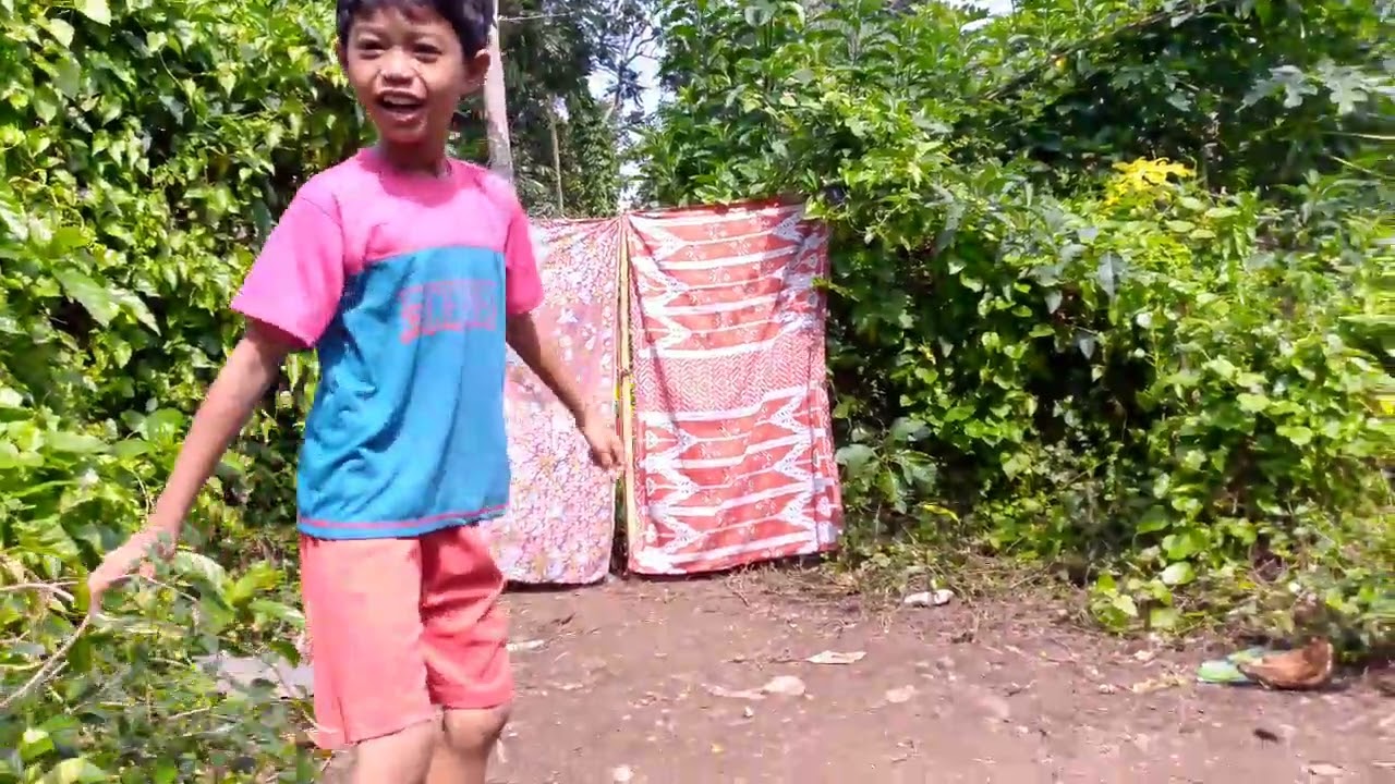 Joyo budoyo