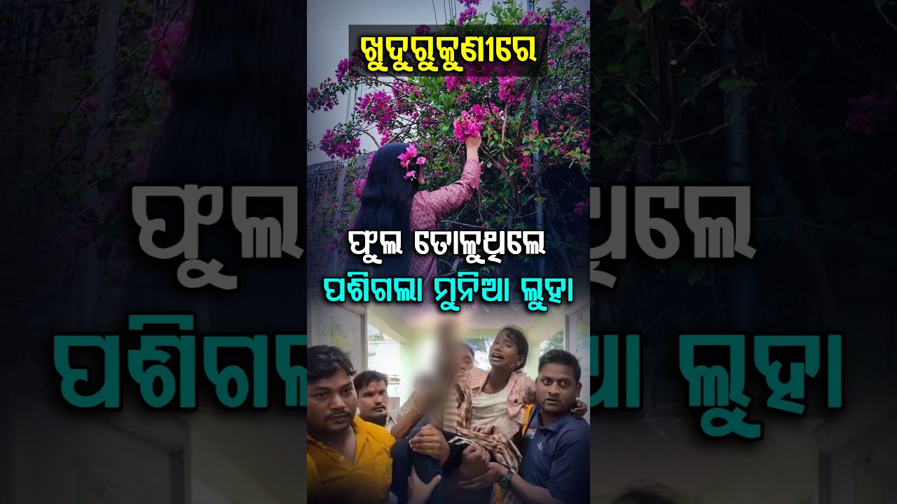 ଖୁଦୁରୁକୁଣୀ ଓଷାରେ ଫୁଲ ତୋଳୁଥିଲେ ହଠାତ୍...| Argus Digital