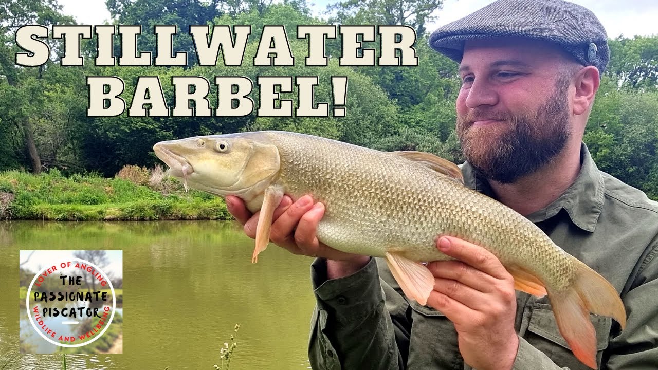 Family Fishery Barbel - Ashmoor Lakes Float Fishing