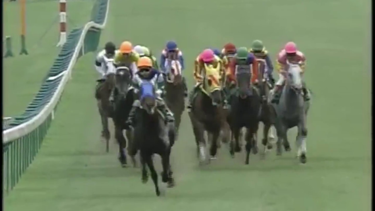 【オールカマー（GⅢ）】　ツインターボ　中舘英二