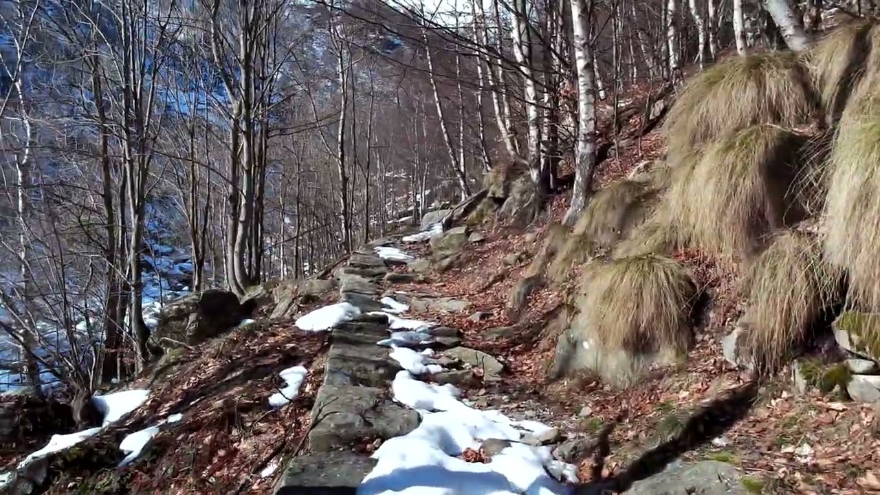 4K Nature walk. No people. 17 minutes.