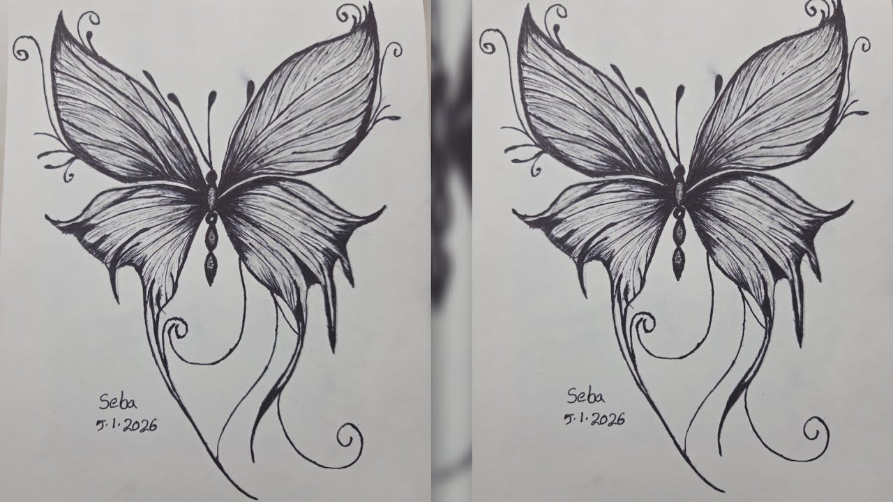How to draw butterfly 🦋 | pen drawing 🦋