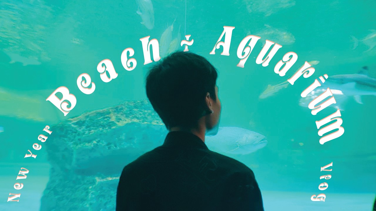 new year beach and Aquarium trip!