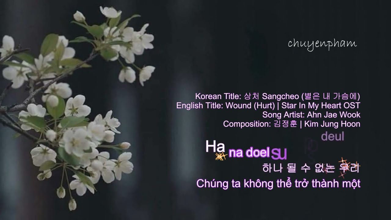 Wound (Hurt) 상처 (Sangcheo) - Star In My Heart OST - Ahn Jae Wook