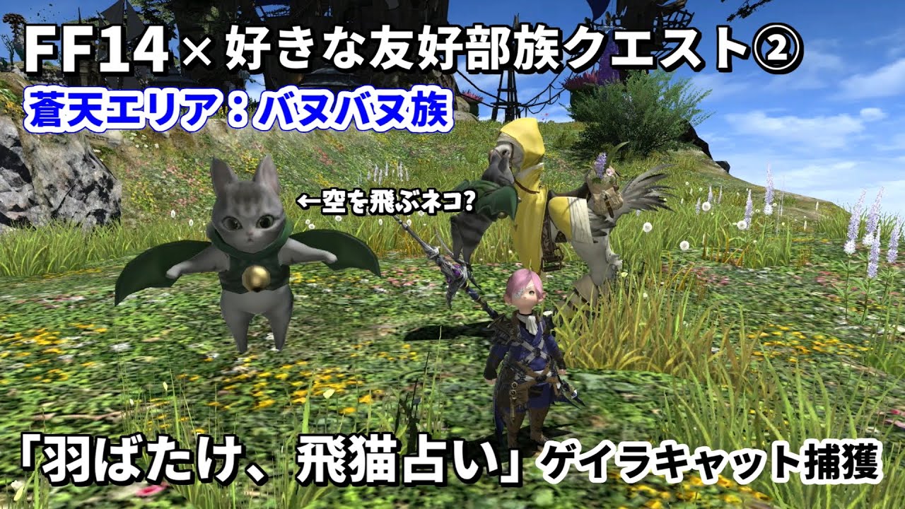 【FF14】好きな友好部族クエスト2 バヌバヌ族「羽ばたけ、飛猫占い」ゲイラキャットを酔わせて捕獲せよ【蒼天エリア】
