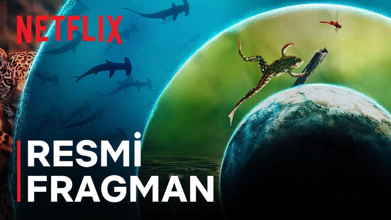 Hayat Dolu D&uuml;nyamız | Cate Blanchett | Resmi Fragman | Netflix