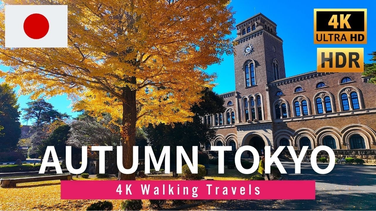4K Japan Walk 🇯🇵 Autumn Tokyo Hitotsubashi University to Central Tachikawa Walking Tour 2024