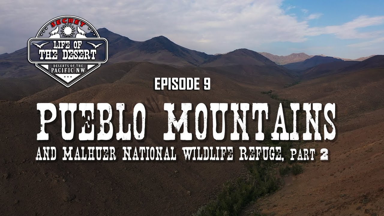 Pueblo Mountains and Malheur National Wildlife Refuge Part 2