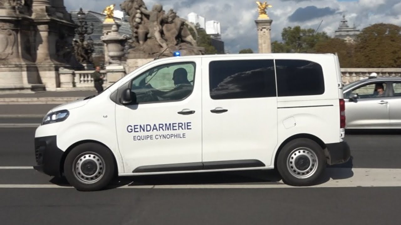 [RARE] 2x Gendarmerie Equipe Cynophile en urgence à Paris // 2x French Militairy Police K9 unit
