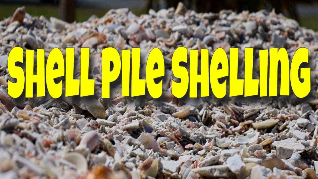 Ace Hardware Shell Pile, Panama City Beach, Florida, Part II
