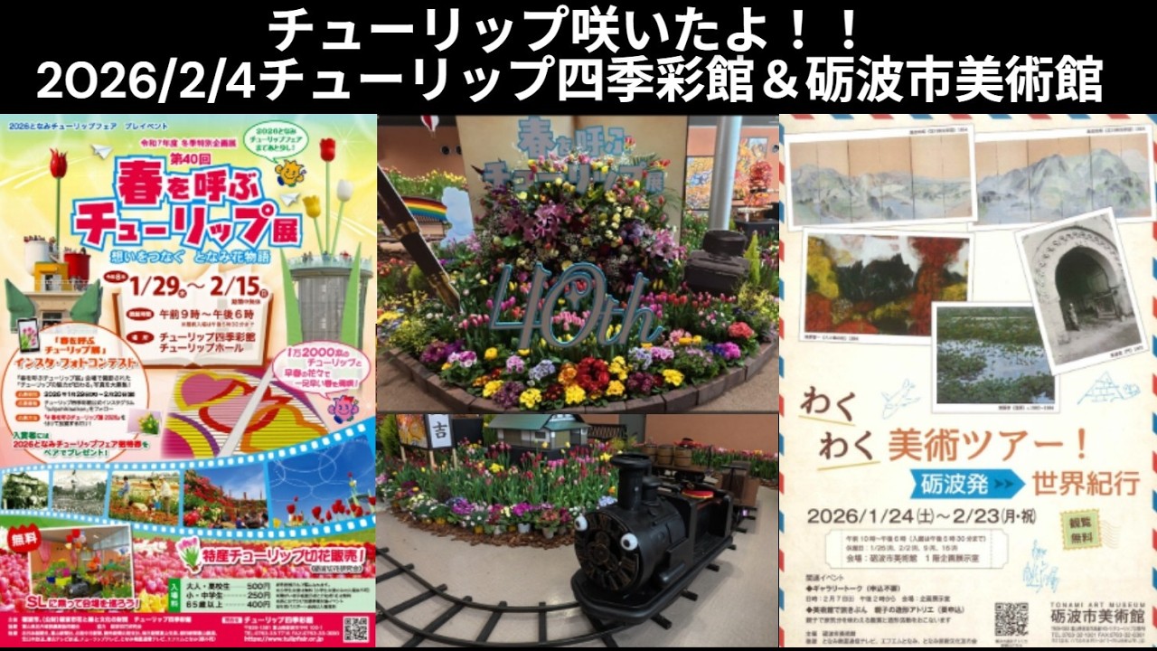 2026/2/4 チューリップ四季彩館で咲いたチューリップ見てきました。