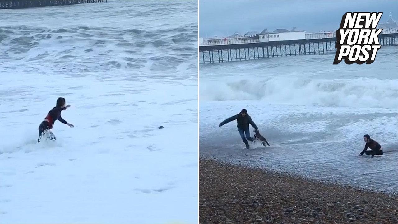 Woman nearly drowns in the ocean trying to save her dog | New York Post