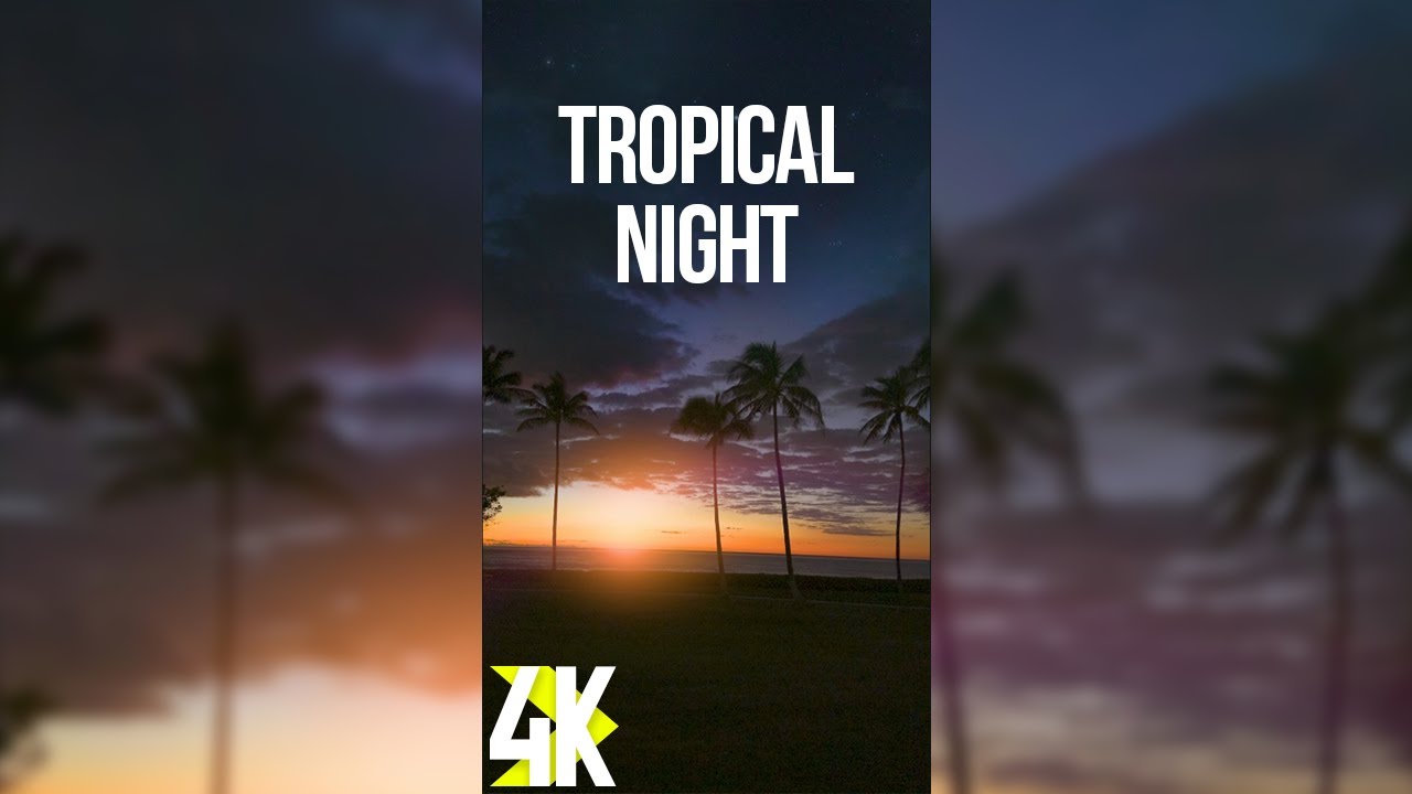 4K Hawaii Tropical Night for Vertical Screens | Ocean Waves, Palm Trees & Birds Chirping