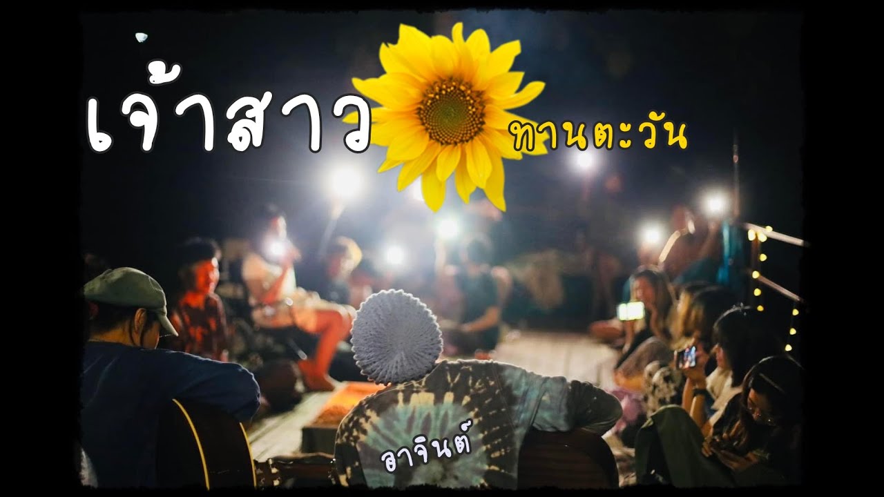 เจ้าสาวทานตะวัน - อาจินต์ live
