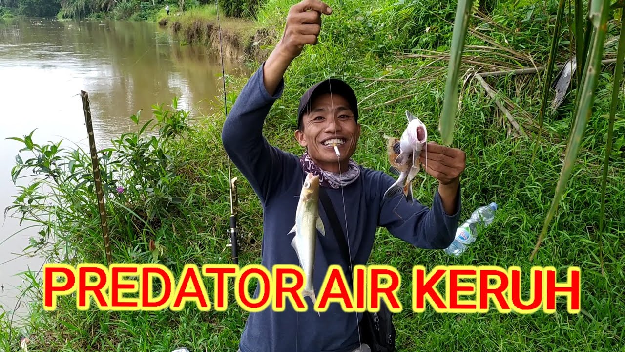 MANCING DI AIR KERUH  #awjfishing#mancingdiairkeruh#setelahbanjir