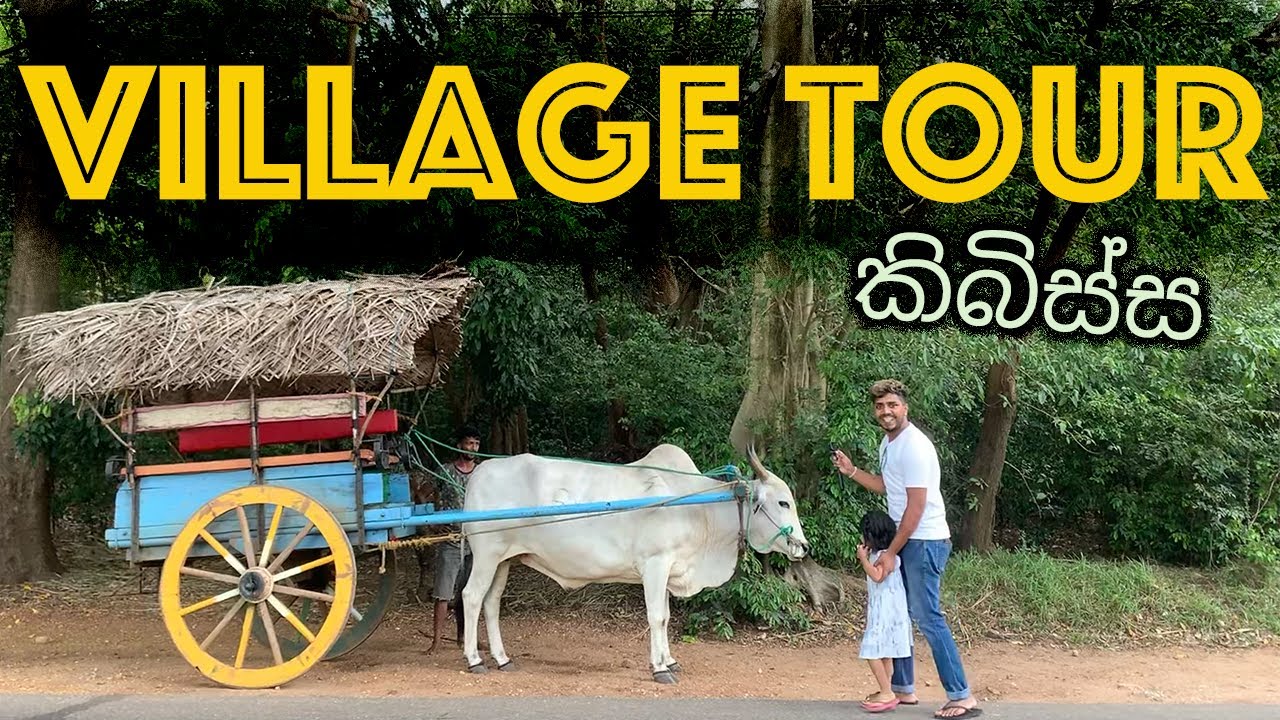 100年前のスリランカ？＃Village Tour #Kibissa #Sigiriya
