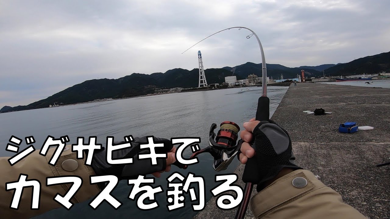 ジグサビキって信用してなかったけど…釣れるんですね…【カマス釣り】