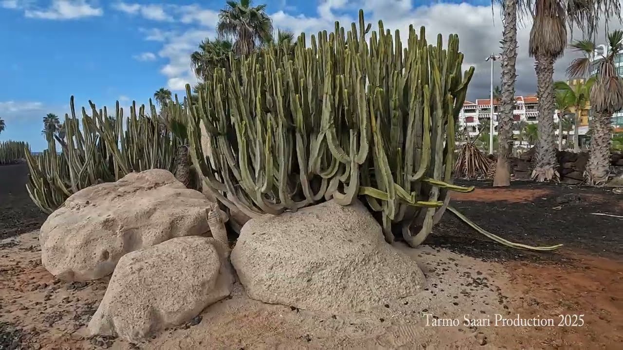 Teneriffa (Tenerife)11-2025
