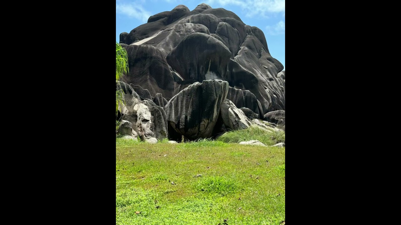L&rsquo;Union Estate, La Digue. #travel #seychelles #plantation #naturephotography #nature
