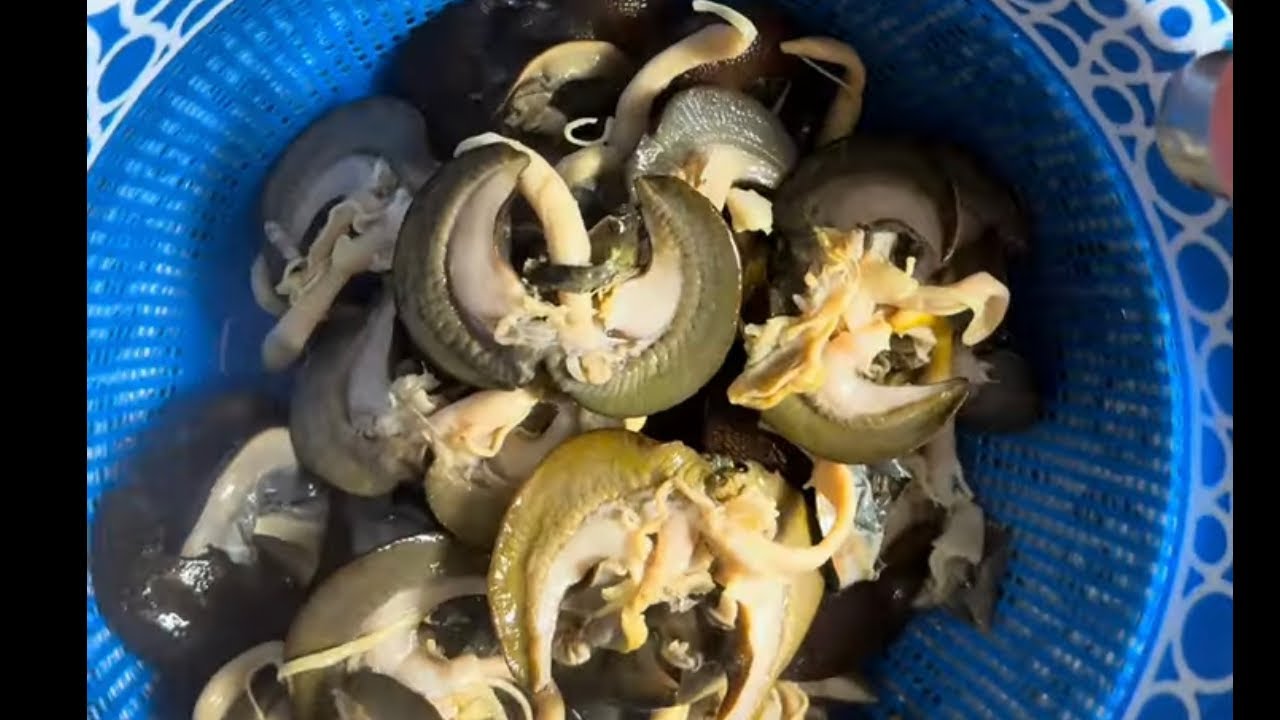 How To Wash Snails 