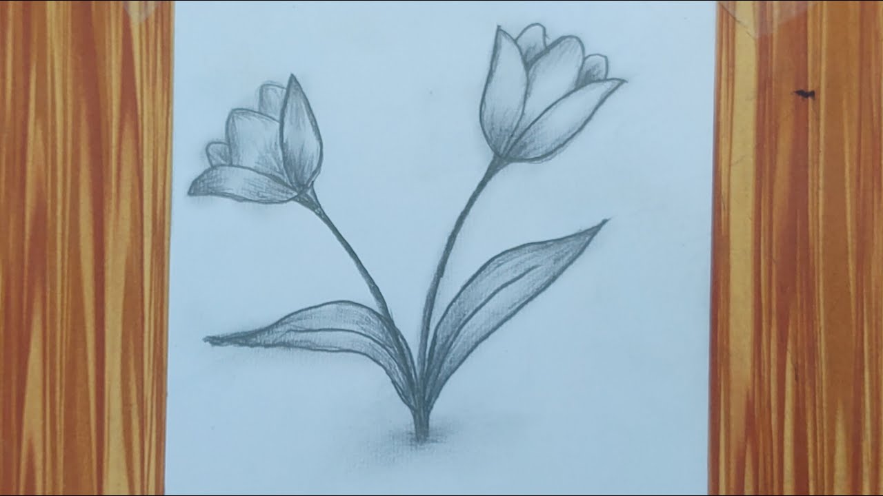 Simple Pencil Flower Sketch Drawing 🌸 | Realistic Flower Shading Step by Step | Asma Pencil Art