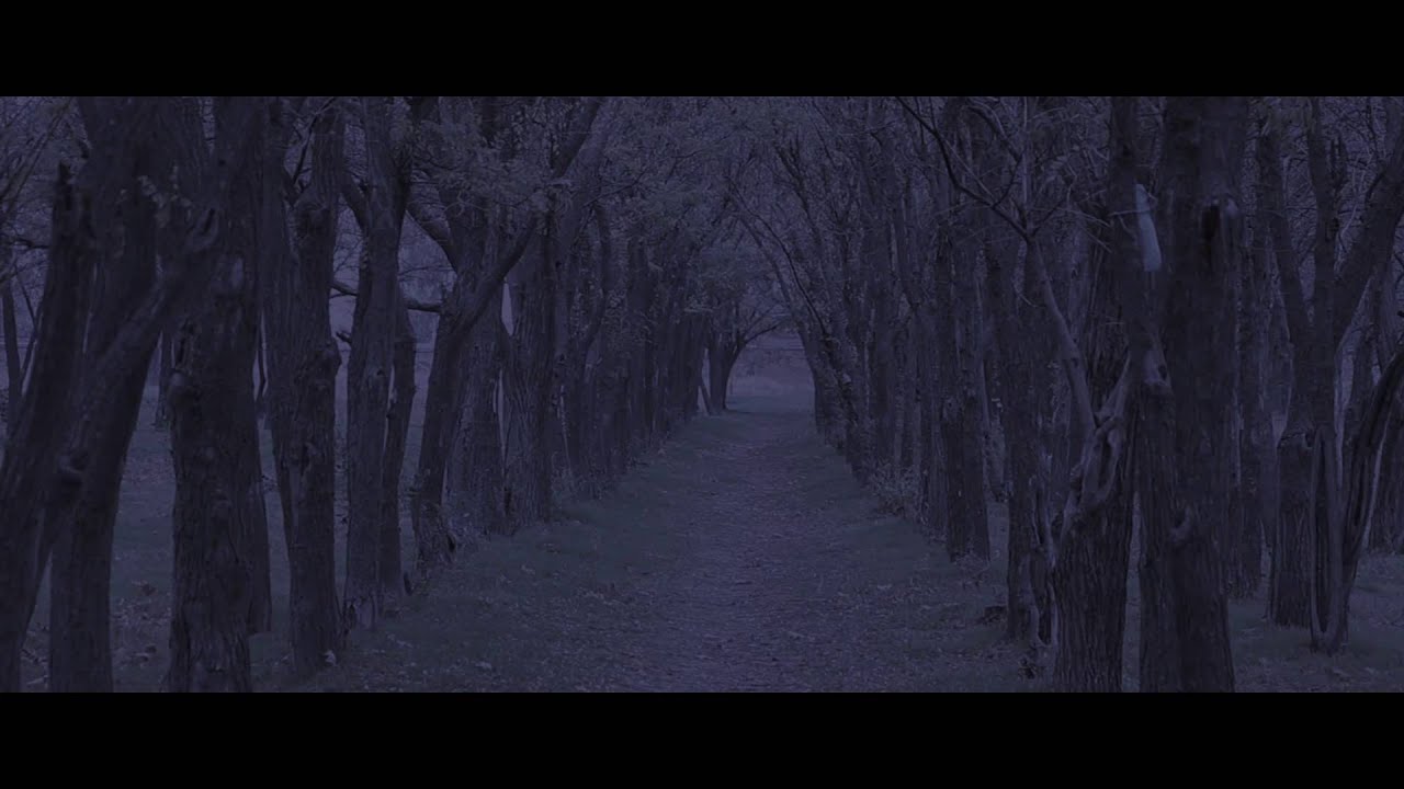 Andrew Jasinski - Luna