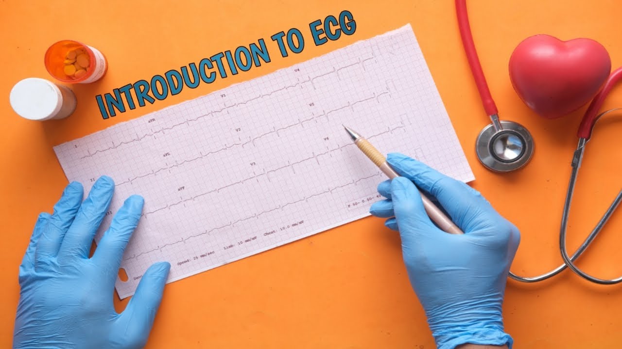 شرح تخطيط القلب (ECG) - الحلقة الأولى (Conducting system of heart + Introduction to ECG )