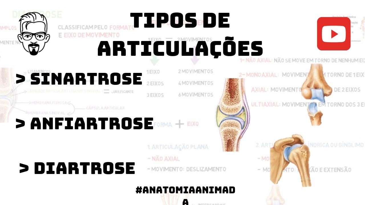 03- Tipos de Articulações - Sinartrose, Anfiartrose e Diartrose - Anatomia Animada