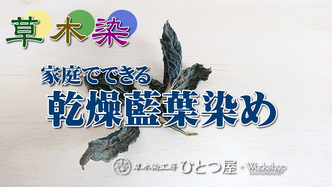 【草木染】家庭でできる『乾燥藍葉染め』藍染め